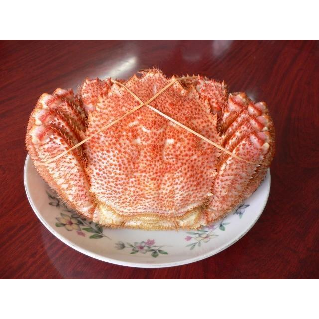 毛ガニ 北海道産 約670g×2尾入り ボイル済 送料無料 ギフト カニ かに 蟹 :kegani06:オホーツク味紀行 - 通販 - Yahoo!ショッピング 毛ガニ 北海道産 約670g×2尾入り ボイル済 送料無料 ギフト カニ かに 蟹 :kegani06:オホーツク味紀行 - 通販 - Yahoo!ショッピング