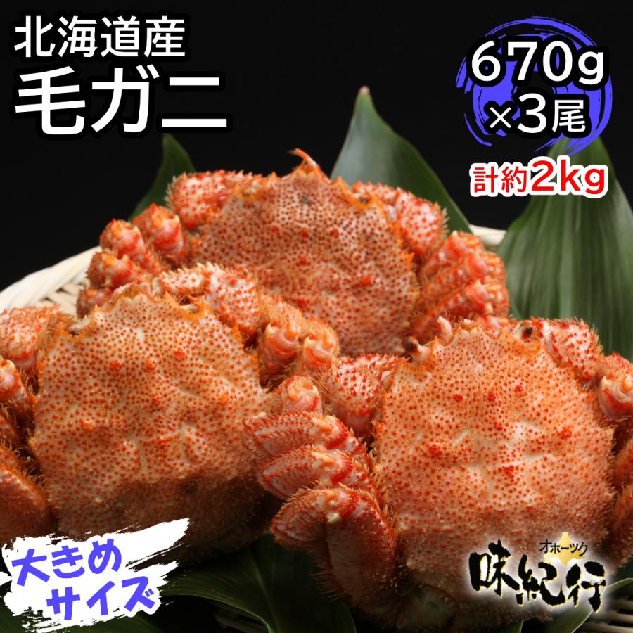 毛ガニ 北海道産 約670g×3尾入り ボイル済 送料無料 ギフト カニ かに 蟹 :kegani07:オホーツク味紀行 - 通販 - Yahoo!ショッピング 毛ガニ 北海道産 約670g×3尾入り ボイル済 送料無料 ギフト カニ かに 蟹 :kegani07:オホーツク味紀行 - 通販 - Yahoo!ショッピング