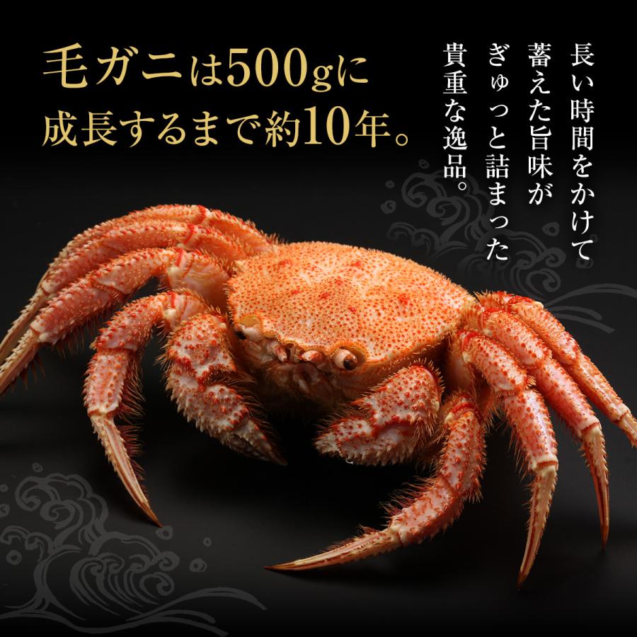 毛ガニ 北海道産 約500g×3尾入 ボイル済 ギフト 毛蟹 カニ 毛ガニ 北海道産 約500g×3尾入 ボイル済 ギフト 毛蟹 カニ