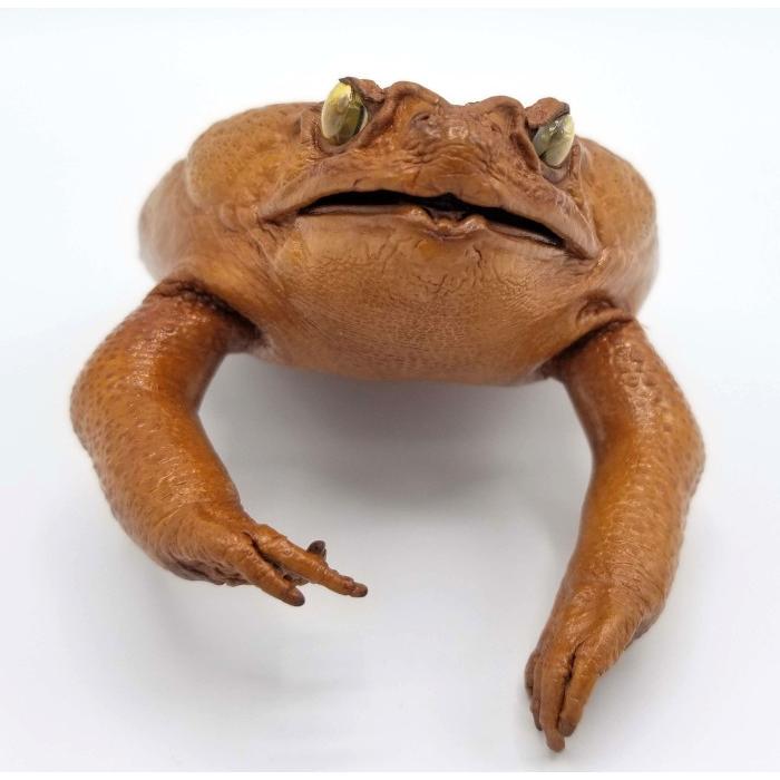 沖縄 お土産 雑貨 本物 カエル 財布 小銭入れ Wallet 本革 剥製 ヒキガエル がま口 小さい コンパクト 可愛い 人気 革 ミニ Frogwallets オキアジ 通販 Yahoo ショッピング