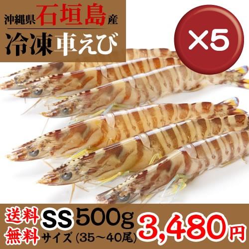 限定価格セール 石垣島冷凍車海老500g Ssサイズ35 40尾 5袋セット 沖縄clipマルシェ 通販 Paypayモール 激安単価で Dp3akb Jatengprov Go Id