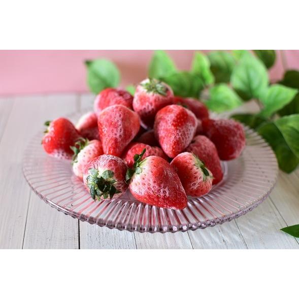 ひんやりフルーツマルシェ 美ら島ベリー 1kg 冷凍いちご 冷凍イチゴ いちご イチゴ 水耕栽培 無農薬 国産 苺 送料無料 月間100セット限定商品 沖縄clipマルシェ 通販 Paypayモール