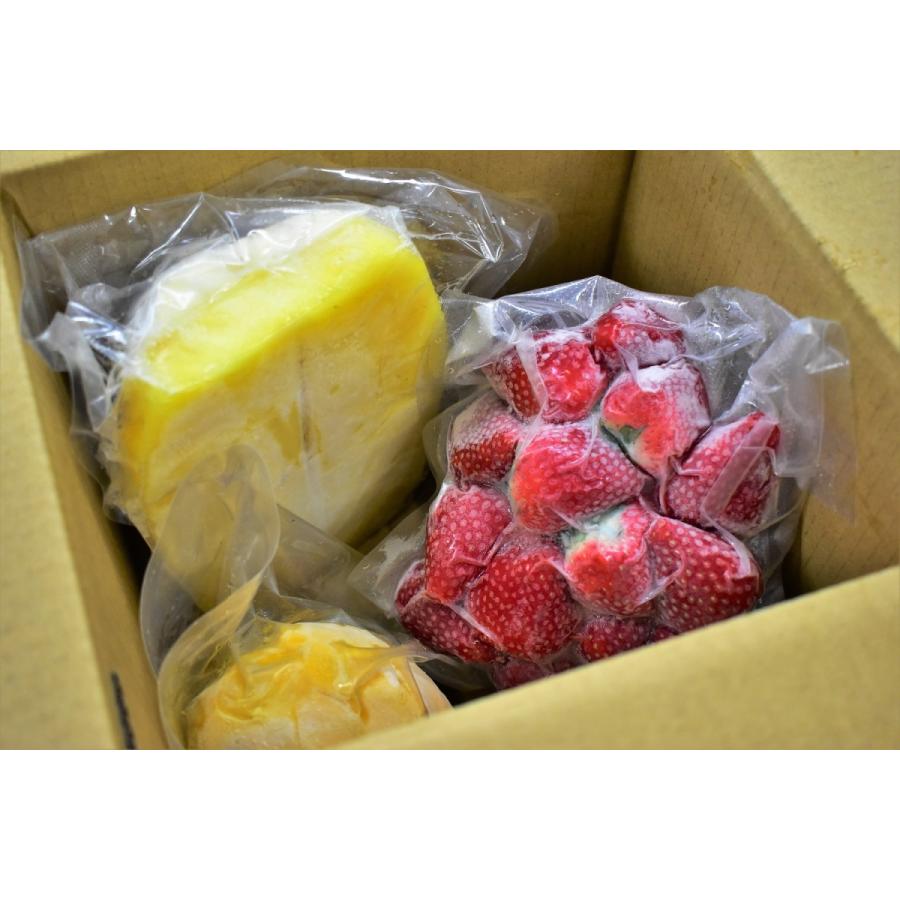 ホットセール よくばり冷凍 完熟マンゴーセット  1kg 500g×2袋