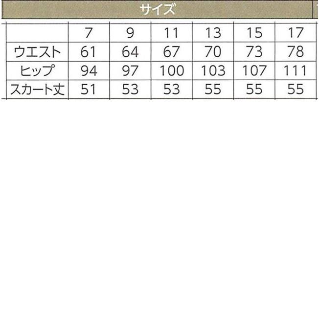 ハネクトーン スカート ブラック WP865-8 |  | 01