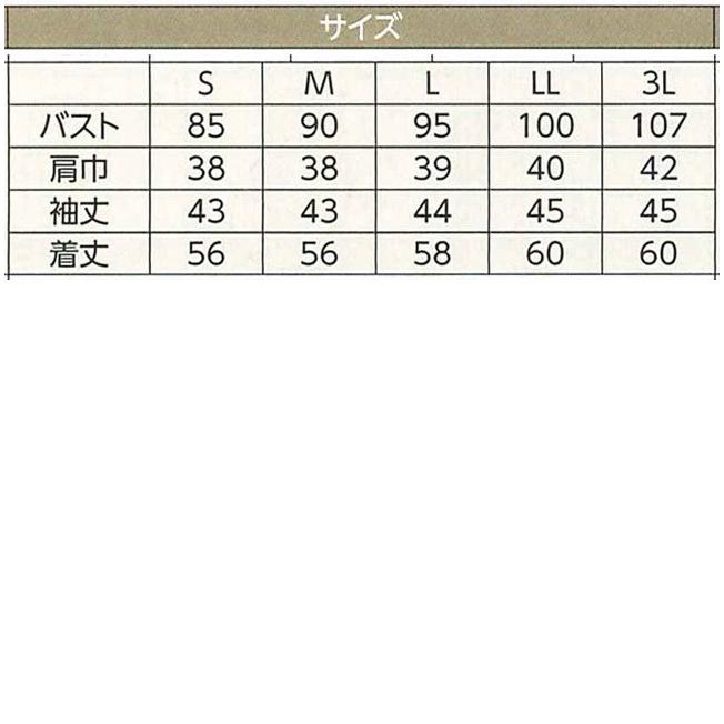 ハネクトーン七分袖ボートネックT ホワイト（WP314-7） |  | 01