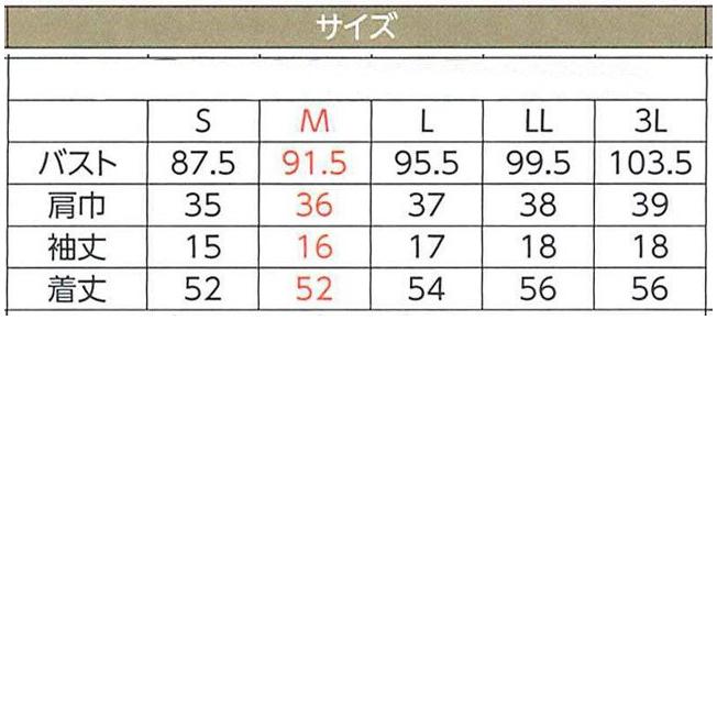 ハネクトーン半袖ちゃんとT ホワイト（WP315-7） |  | 01