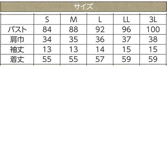 ハネクトーン 半袖VネックT 天竺 ホワイト WP311-17 |  | 01