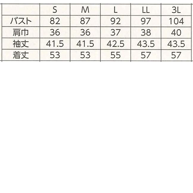 ハネクトーン 七分袖タックTシャツ 天竺 ホワイト WP364-17 |  | 01