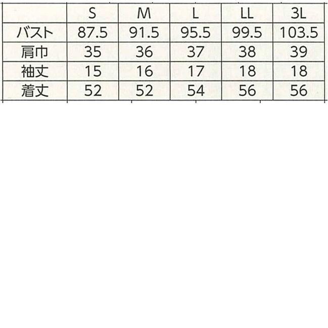 ハネクトーン 半袖ちゃんとTシャツ 天竺 ベージュ WP304-5 |  | 01