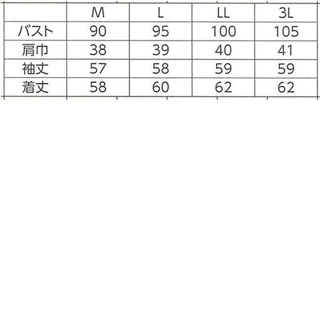ハネクトーン 長袖きれいポロシャツ 天竺 ホワイト WP355-17 |  | 01
