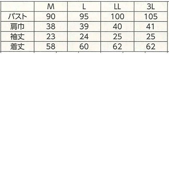 ハネクトーン 半袖きれいポロシャツ 天竺 ベージュ WP301-5 |  | 01