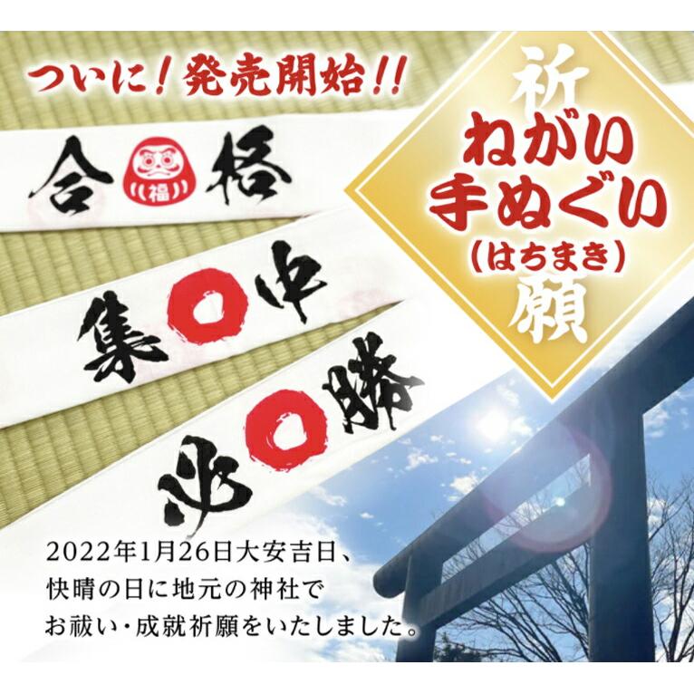 ねがい手ぬぐい 必勝ハチマキ 合格ハチマキ 集中ハチマキ 1000円ぽっきり メール便 |  | 01