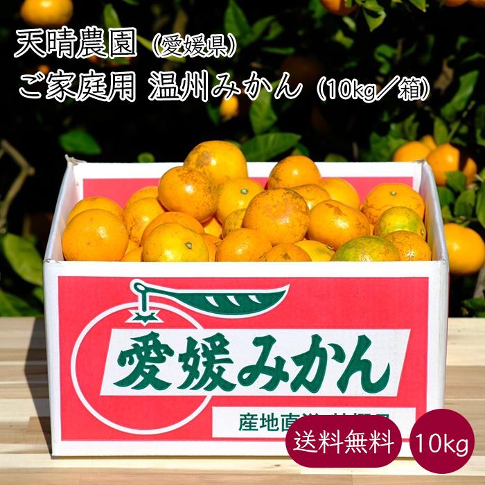 天晴農園 愛媛 温州みかん ご家庭用 傷あり 1箱 約10kg／箱《産地直送