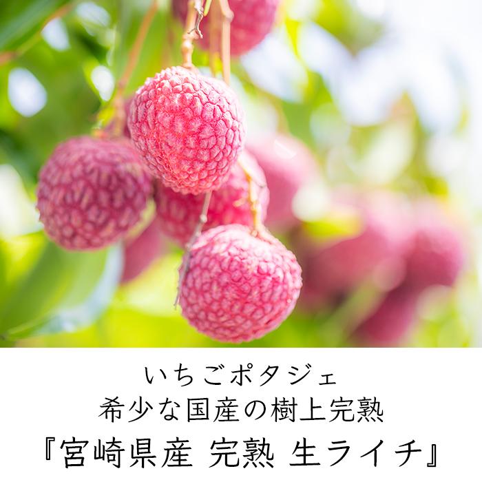 いちごポタジェ 宮崎県産 完熟 生ライチ《産地直送 7月下旬から順次
