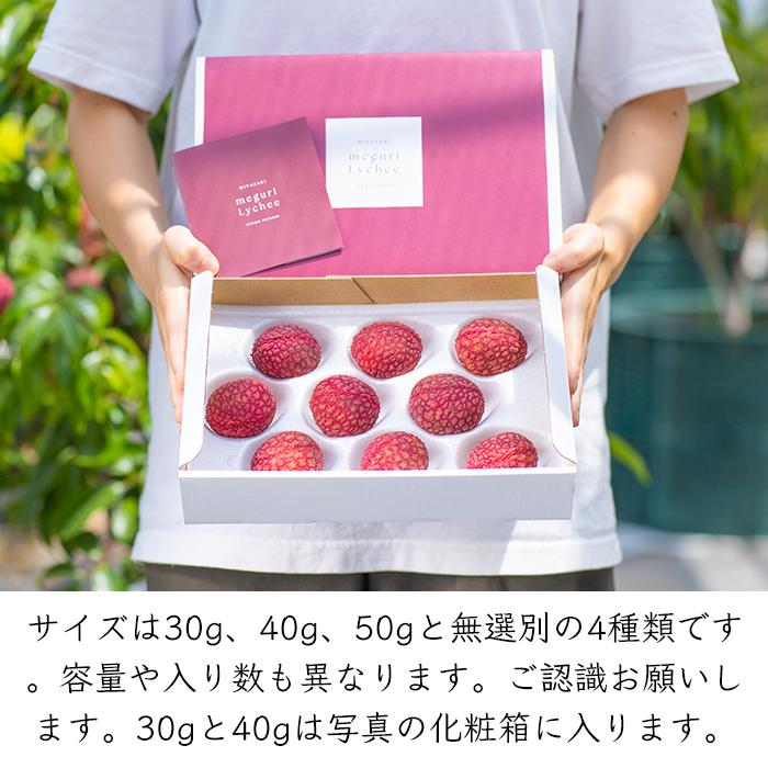宮崎生ライチ4パック 40個前後約1kg 個数は大きさで多少変わります！ いちごポタジェ 宮崎県産 完熟 生ライチ《産地直送 7月下旬から順次