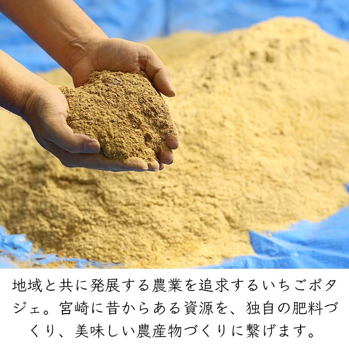 いちごポタジェ 宮崎県産 完熟 生ライチ《産地直送 7月下旬から順次