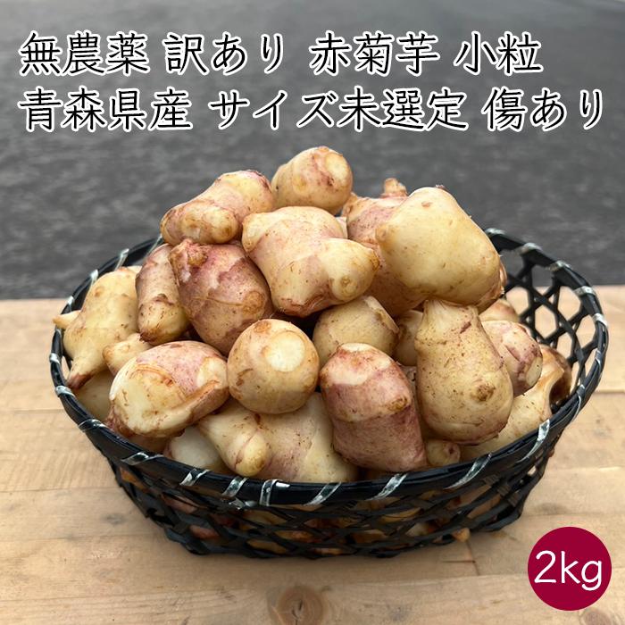 礼門 国産 訳あり 無農薬 化学肥料不使用 赤菊芋 小粒 2kg《産地直送