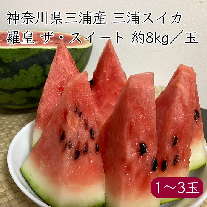 マルエ農園 三浦スイカ 大玉 羅皇ザ・スウィート 秀品 約8kg／玉《産地