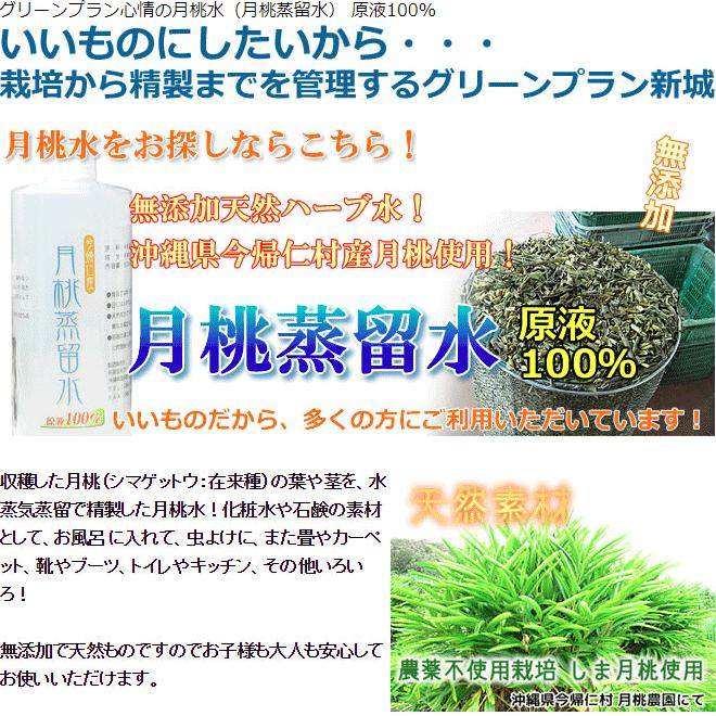 月桃水 月桃蒸留水 500ml 3本 月桃 化粧水 月桃ウォーター Gettou30 沖縄情報館 通販 Yahoo ショッピング