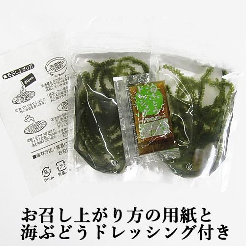 海ぶどう 海洋深層水使用 40g g 2p入り 10袋 海ブドウ 沖縄 久米島 お土産 Sh 81s10 沖縄情報館 通販 Yahoo ショッピング