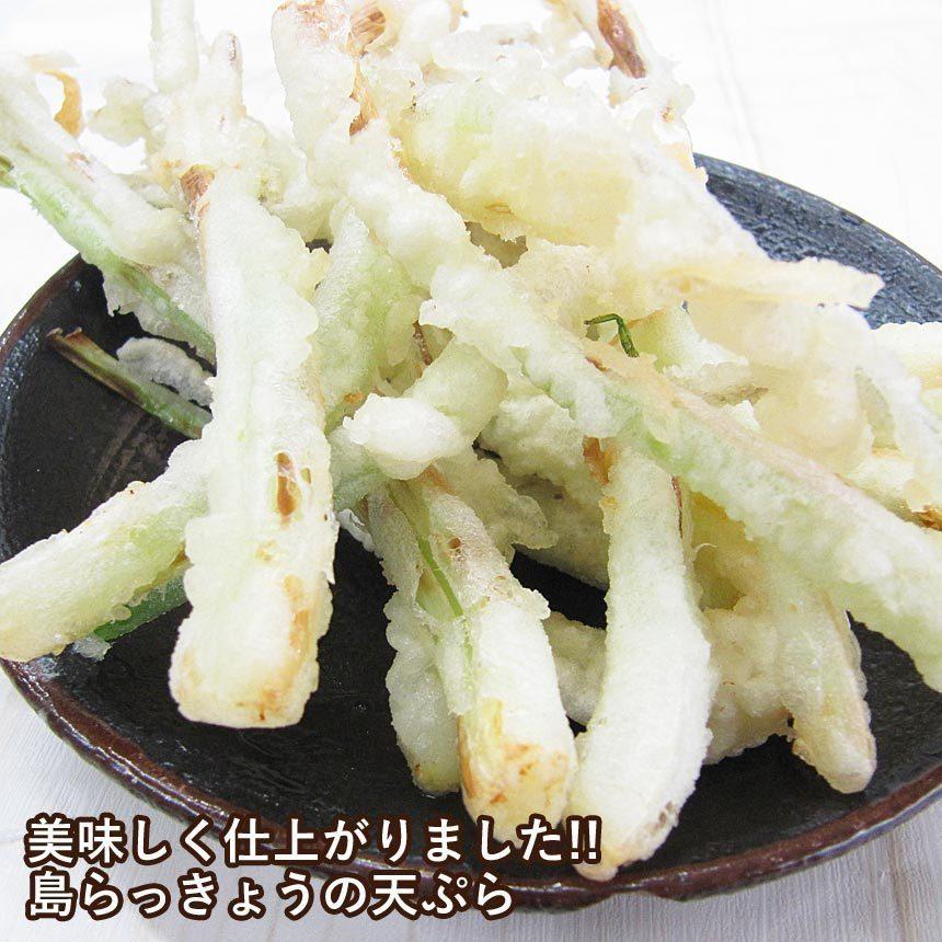 沖縄県伊江島産 島らっきょう10キロ 最終大バーゲン