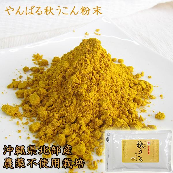 ターメリック やんばる 秋ウコン 粉末 100g アルミパック入り 沖縄産 農薬不使用栽培 ウコン サプリ 定形外 Ua69m 沖縄情報館 通販 Yahoo ショッピング