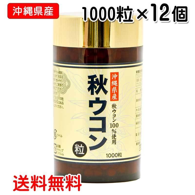 秋ウコン粒　1000粒入り×12個　沖縄県産秋ウコン　送料無料　沖縄ウコン販売