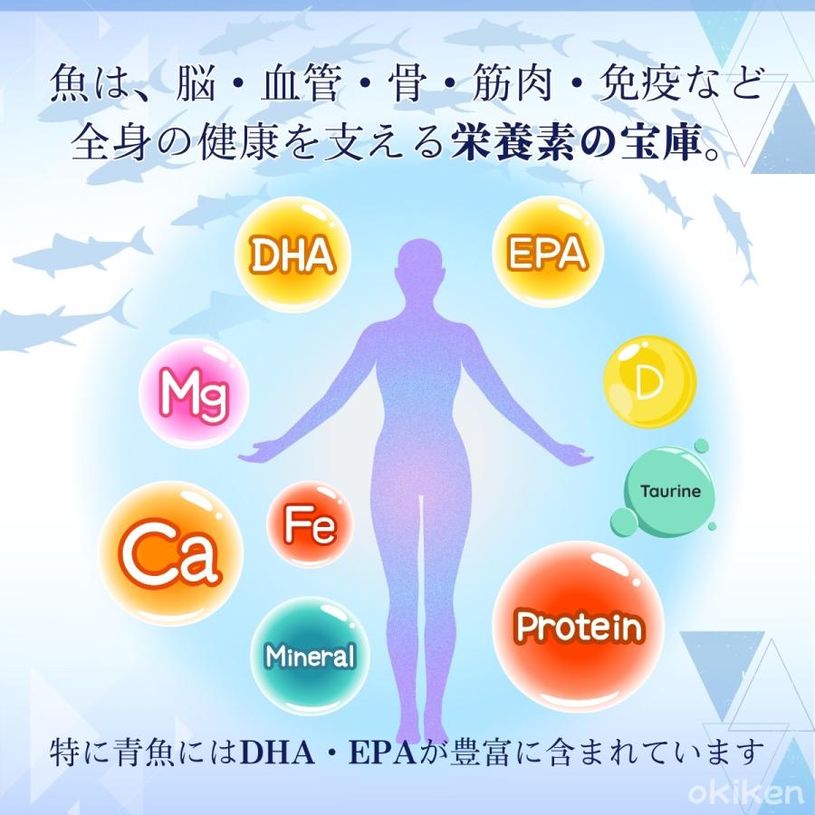 サプリ生活 DHA+EPA EX 50粒×1袋 10日分 お試し オメガ3 亜麻仁油