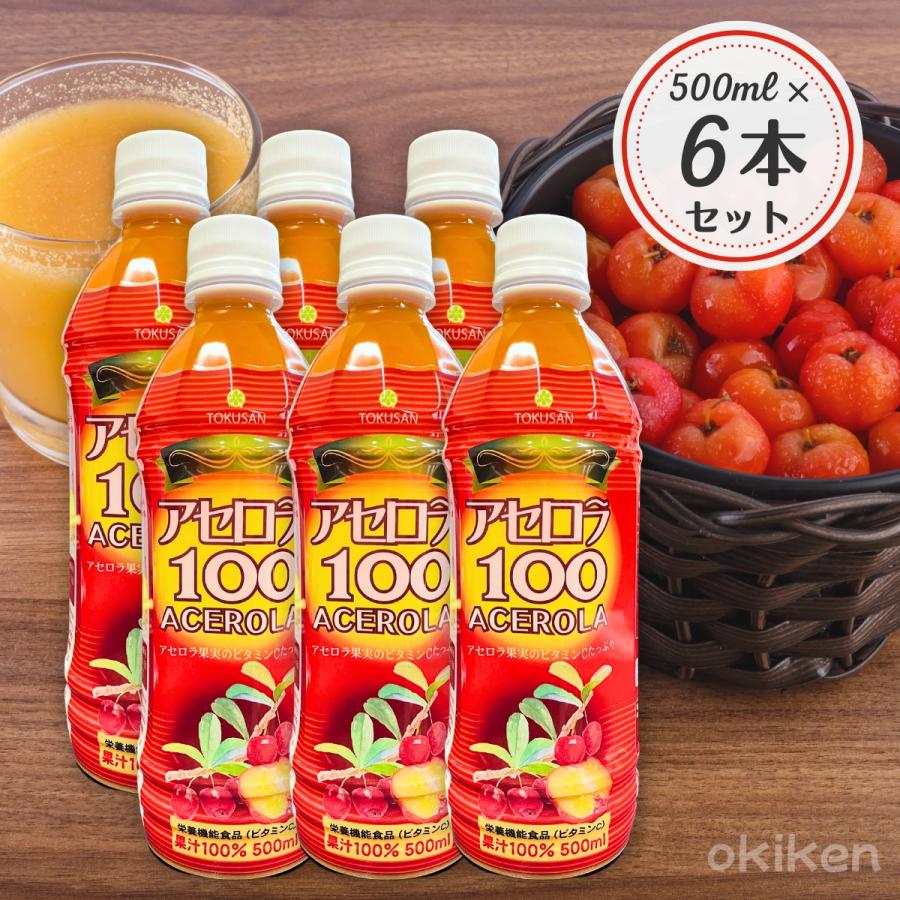 アセロラドリンク フルーツジュース アセロラ100 500ml×6本セット