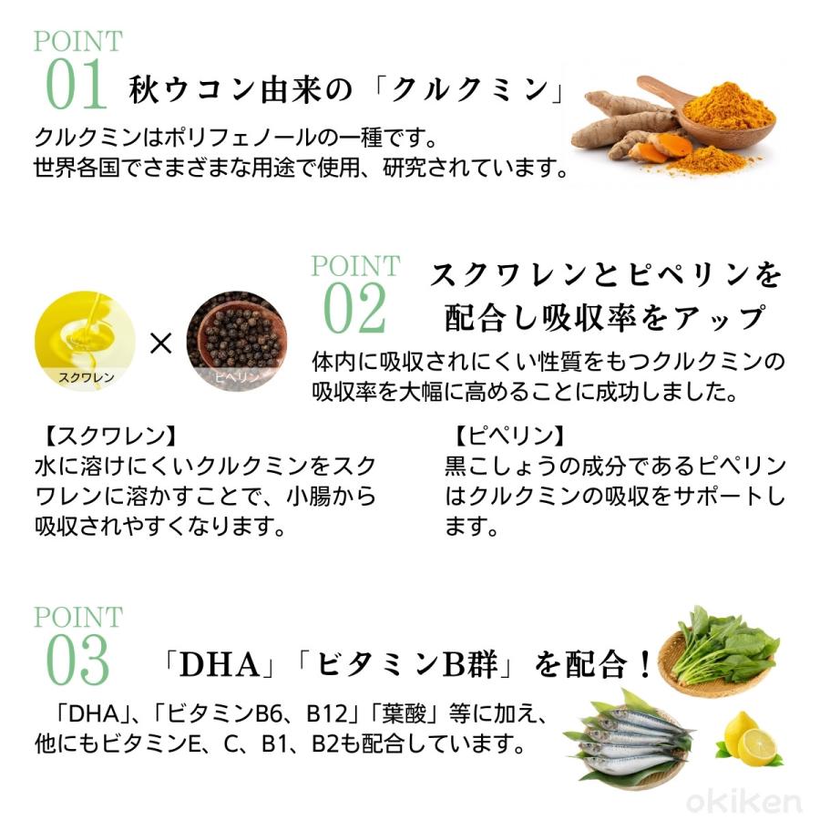 サプリ 健康サプリ メモリンEX 60粒入り×1袋 パウチタイプ 機能性表示