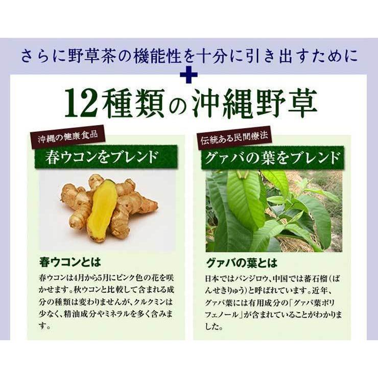 植物発酵エキス 爽々 そうそう 900ml×6本 沖縄 野草 乳酸菌 酵素 食物 