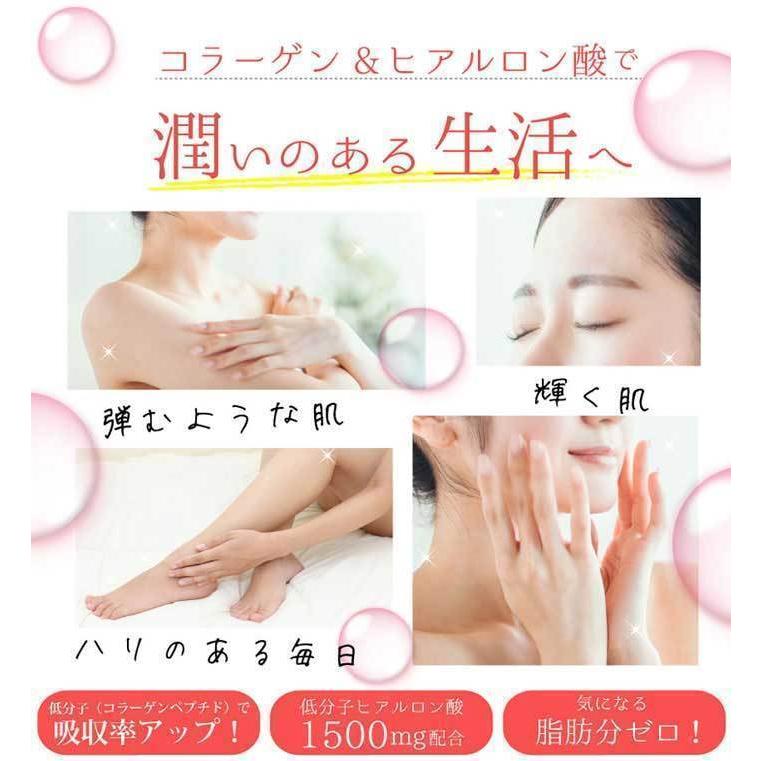 ぷるコラ 100g×10袋 コラーゲン＆低分子ヒアルロン酸 送料無料の画像