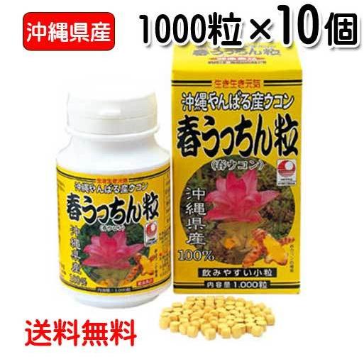 ウコン サプリ 粒 錠剤 春うっちん粒 1000粒入り 10個セット 沖縄県産 