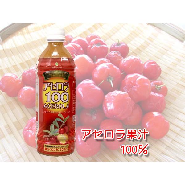 アセロラ100 500ml 24本 アセロラジュース 沖縄特産販売 送料無料 ビタミンc Aserora100x24 沖縄健康食品webショップ 通販 Yahoo ショッピング