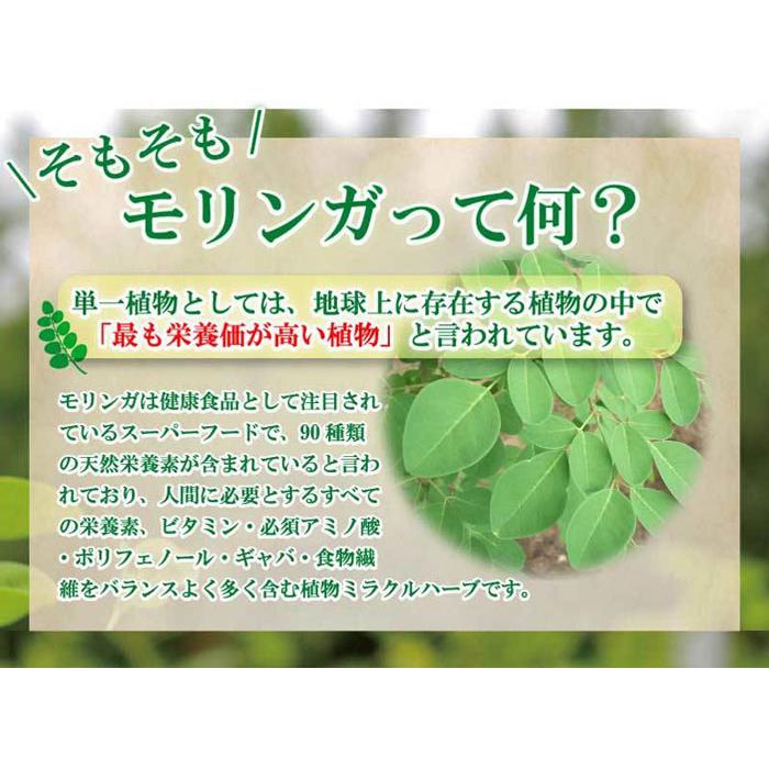 沖縄産100% モリンガ「琉球新美茶」30包×3袋 スーパーフード お茶 ティーバッグ 無農薬 食物繊維 健康茶 腸内環境 善玉菌 レターパックプラス発送 送料無料 :shinbichax3:沖縄健康食品webショップ - 通販 - Yahoo!ショッピング 沖縄産100% モリンガ「琉球新美茶」30包×3袋 スーパーフード お茶 ティーバッグ 無農薬 食物繊維 健康茶 腸内環境 善玉菌 レターパックプラス発送 送料無料 :shinbichax3:沖縄健康食品webショップ - 通販 - Yahoo!ショッピング