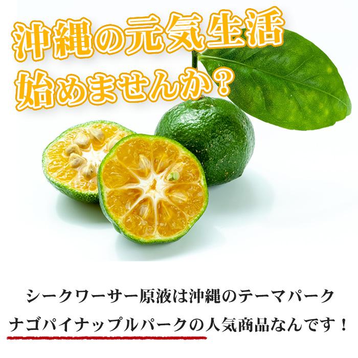 県産シークワーサー 500ml | シークヮーサー ジュース 果実 青切り 100