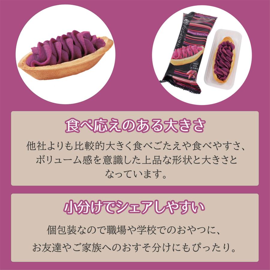 パジコ 未使用モンブランメーカー含む フェイクスイーツ 材料 型 など パジコ 未使用モンブランメーカー