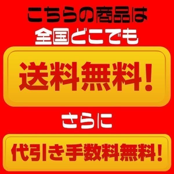 沖縄アロエ アロエベラジュース 国産 2L 2本 沖縄県産 アロエ