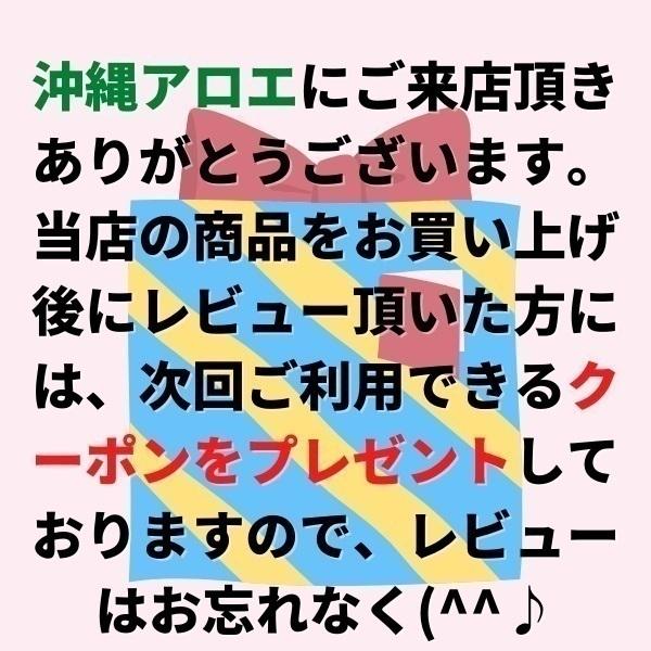 沖縄アロエ アロエベラジュース 国産 2L 6本 送料無料 沖縄県産 業務用
