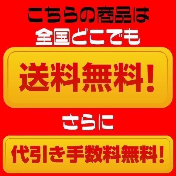 沖縄アロエ アロエベラジュース 国産 2L 6本 送料無料 沖縄県産 業務用