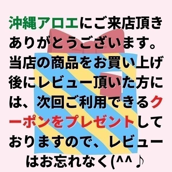 沖縄アロエ アロエ アロエベラジュース 1L 3本セット 沖縄県産 アロエ