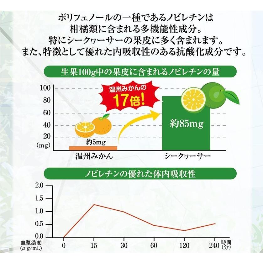 【送料無料】沖縄県産シークヮーサー パック160ml×3個セット シークヮーサージュース シークワーサー シークアーサー 沖縄県産 認知機能 尿トラブル 生活習慣病｜okinawaaroe｜04