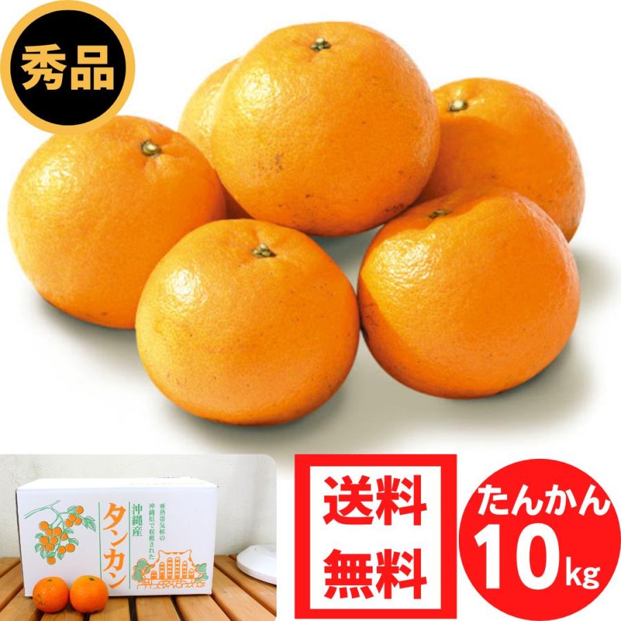 沖縄県産タンカン 10kg 優品 沖縄 みかん たんかん タンカン 沖縄県産タンカン 10kg 優品 沖縄 みかん たんかん タンカン