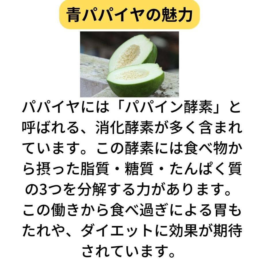 パパイヤ スーパーフード 沖縄県産 青パパイヤ 5kg（約5〜10玉