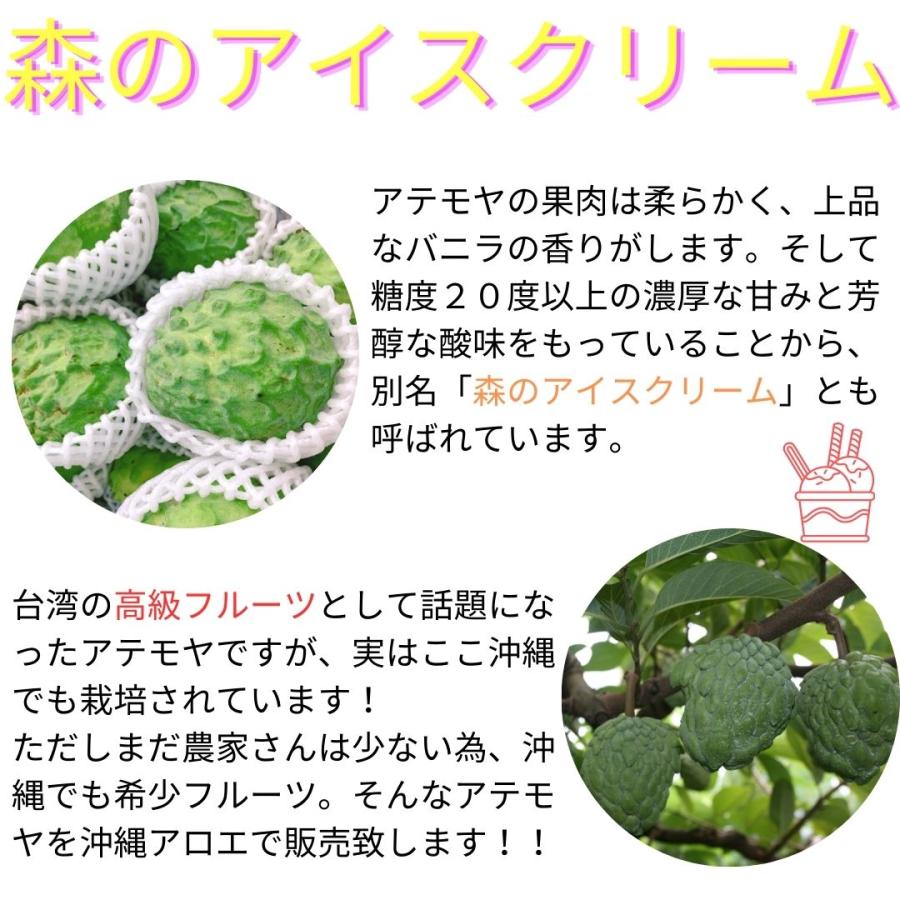 沖縄県産アテモヤ 2ｋｇ 5〜10玉入り 送料無料 白箱 沖縄 アテモヤ