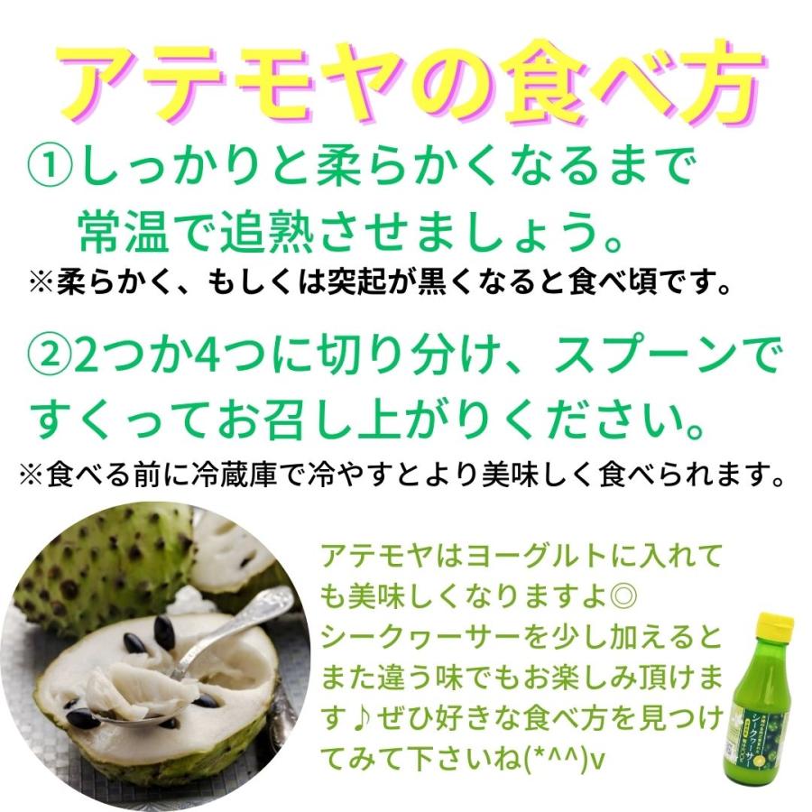 沖縄県産 アテモヤ 2kg 5〜10玉入り 送料無料 白箱 沖縄 高級 沖縄県産 アテモヤ 2kg 5〜10玉入り 送料無料 白箱 沖縄 高級
