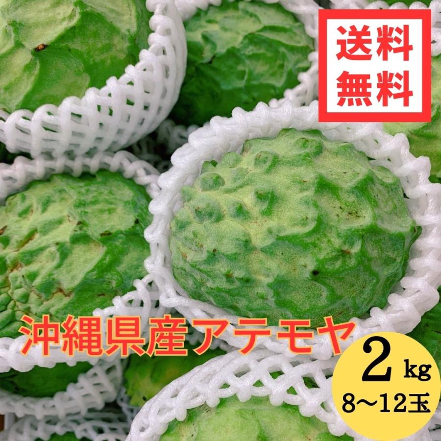 沖縄県産 アテモヤ 2kg 5〜10玉入り 送料無料 白箱 沖縄 高級 沖縄県産 アテモヤ 2kg 5〜10玉入り 送料無料 白箱 沖縄 高級