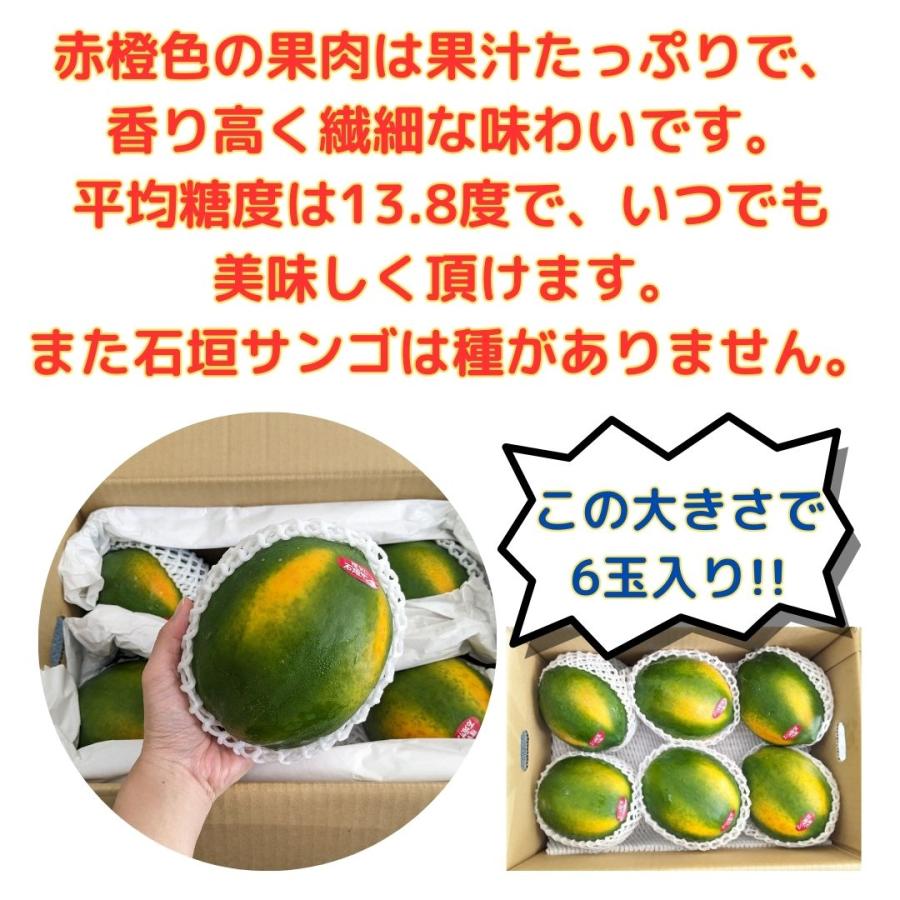 フルーツパパイヤ 石垣サンゴ 4kg （6〜10玉入り） 白箱 送料無料