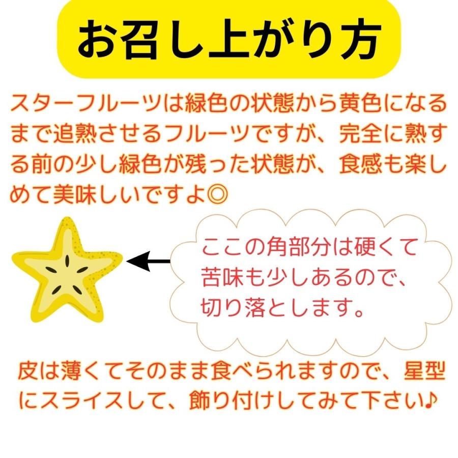 スターフルーツ 送料無料 沖縄県産 2kg 9〜12玉 沖縄 フルーツ