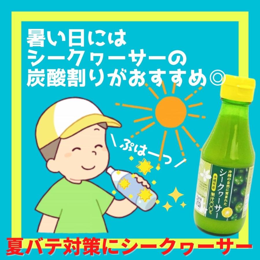 沖縄アロエ シークワーサー 沖縄県産シークヮーサー 2L 3本セット
